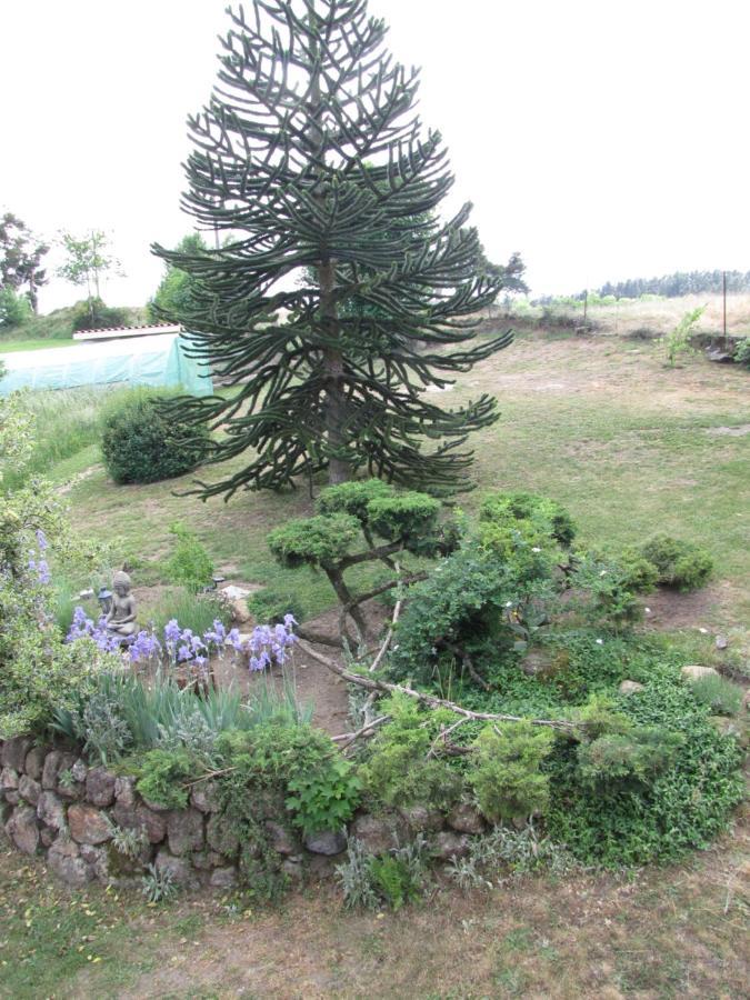 Chez Sophie Et Gilles Bed and Breakfast Monistrol-sur-Loire Eksteriør billede